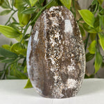 Sea Jasper Gemstone Freeform - RPS644