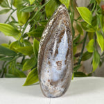 Sea Jasper Gemstone Freeform - RPS644