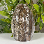 Sea Jasper Gemstone Freeform - RPS644