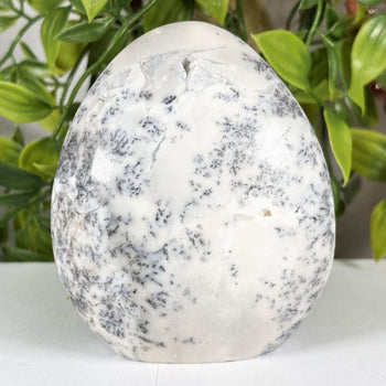 Dendritic Agate Crystal Freeform - Gem Avenue Retail