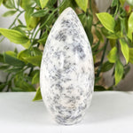 Dendritic Agate Gemstone Freeform - RPS645