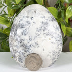 Dendritic Agate Gemstone Freeform - RPS645