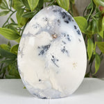 Dendritic Agate Gemstone Freeform - RPS646
