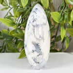Dendritic Agate Gemstone Freeform - RPS646