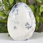 Dendritic Agate Gemstone Freeform - RPS646