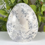 Dendritic Agate Gemstone Freeform - RPS647