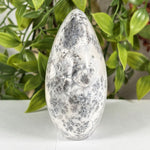 Dendritic Agate Gemstone Freeform - RPS647