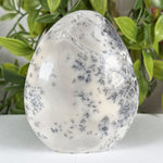 Dendritic Agate Gemstone Freeform - RPS647