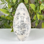 Dendritic Agate Gemstone Freeform - RPS647