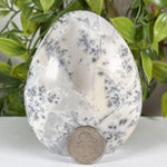 Dendritic Agate Gemstone Freeform - RPS647