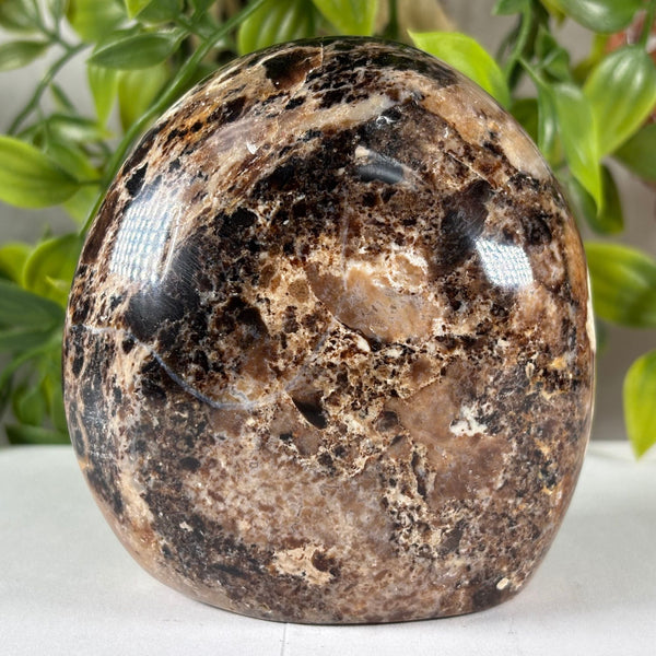 Chocolate Calcite Gemstone Freeform - RPS648