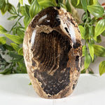 Chocolate Calcite Gemstone Freeform - RPS649