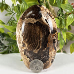 Chocolate Calcite Gemstone Freeform - RPS649