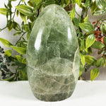 Green Fluorite Crystal Gemstone Freeform - RPS650