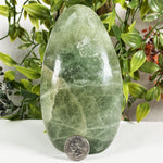 Green Fluorite Crystal Gemstone Freeform - RPS650