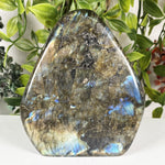 Labradorite Gemstone Freeform - RPS653