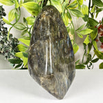 Labradorite Gemstone Freeform - RPS653
