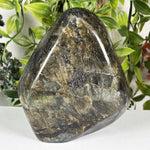 Labradorite Gemstone Freeform - RPS653