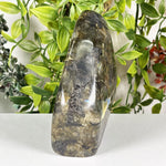 Labradorite Gemstone Freeform - RPS653