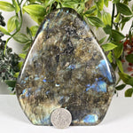 Labradorite Gemstone Freeform - RPS653