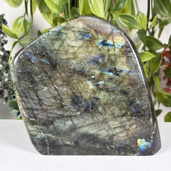 Labradorite Gemstone Freeform - Gem Avenue Wholesale