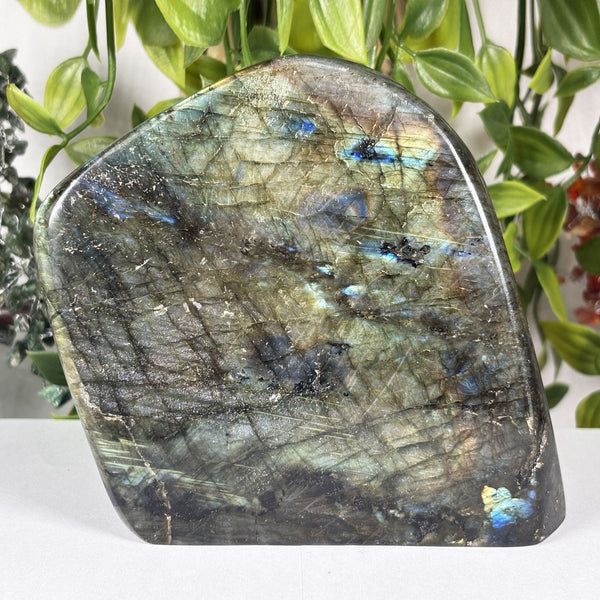 Labradorite Gemstone Freeform - Gem Avenue Wholesale