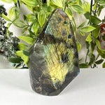 Labradorite Gemstone Freeform - RPS654