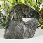 Labradorite Gemstone Freeform - RPS654