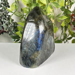 Labradorite Gemstone Freeform - RPS654