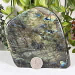 Labradorite Gemstone Freeform - RPS654