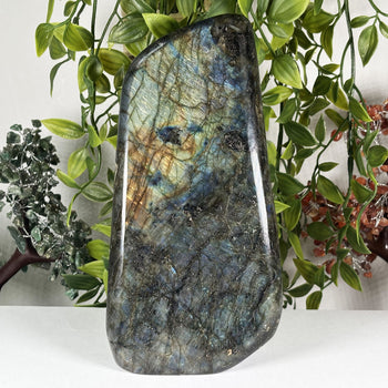 Labradorite Gemstone Freeform - RPS655