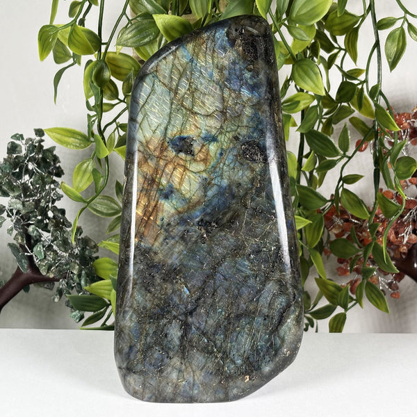 Labradorite Gemstone Freeform - RPS655