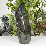 Labradorite Gemstone Freeform - RPS655