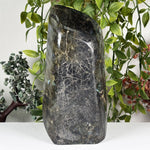 Labradorite Gemstone Freeform - RPS655