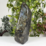Labradorite Gemstone Freeform - RPS655