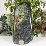 Labradorite Gemstone Freeform - RPS655