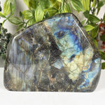 Labradorite Gemstone Freeform  - RPS656