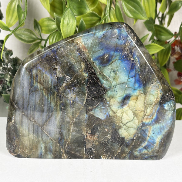 Labradorite Gemstone Freeform  - Gem Avenue Wholesale