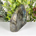 Labradorite Gemstone Freeform  - RPS656