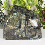 Labradorite Gemstone Freeform  - RPS656