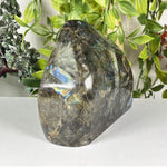 Labradorite Gemstone Freeform  - RPS656