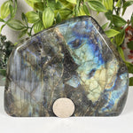 Labradorite Gemstone Freeform  - RPS656