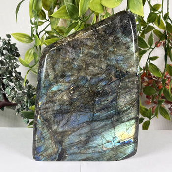Labradorite Gemstone Freeform - Gem Avenue Wholesale