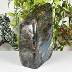 Labradorite Gemstone Freeform - RPS660