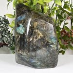 Labradorite Gemstone Freeform - RPS660