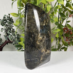 Labradorite Gemstone Freeform - RPS660