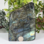 Labradorite Gemstone Freeform - RPS660
