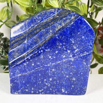Lapis Lazuli Gemstone Freeform - Gem Avenue Wholesale