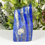Lapis Lazuli Gemstone Freeform - RPS667