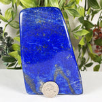 Lapis Lazuli Gemstone Freeform - RPS667